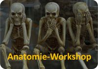 Anatomie Workshop